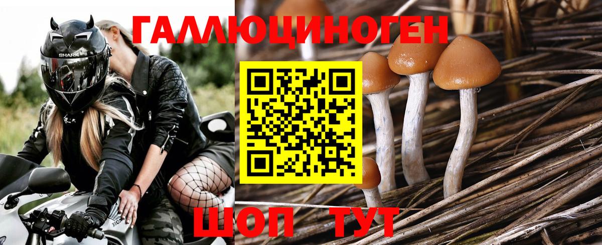 как найти закладки  Псилоцибиновые грибы прущие грибы  Псилоцибиновые грибы мухоморы  Вход с VPN  Трёхгорный 